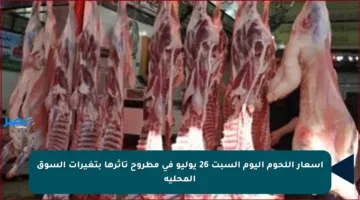 أسعار اللحوم اليوم السبت 26 يوليو في مطروح تأثرها بتغيرات السوق المحلية